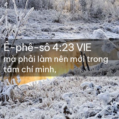 Picture 02 - Ê-phê-sô 4:23 VIE - mà phải làm nên mới trong tâm chí - Bible Verse Picture
