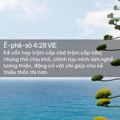 Picture 02 - Ê-phê-sô 4:28 VIE - Kẻ vốn hay trộm cắp chớ trộm cắp - Bible Verse Picture