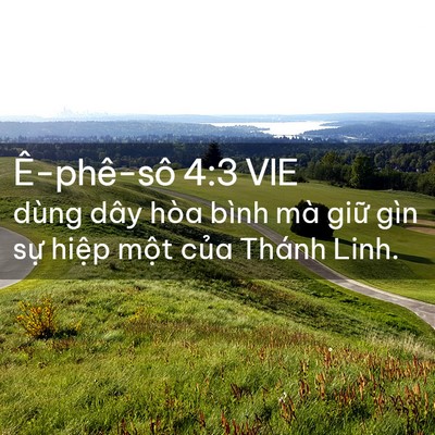 Picture 02 - Ê-phê-sô 4:3 VIE - dùng dây hòa bình mà giữ gìn sự hiệp - Bible Verse Picture