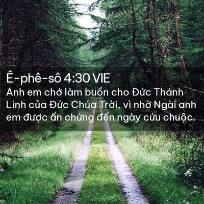 Picture 02 - Ê-phê-sô 4:30 VIE - Anh em chớ làm buồn cho Đức Thánh Linh - Bible Verse Picture