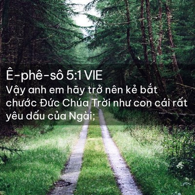 Picture 02 - Ê-phê-sô 5:1 VIE - Vậy anh em hãy trở nên kẻ bắt chước - Bible Verse Picture
