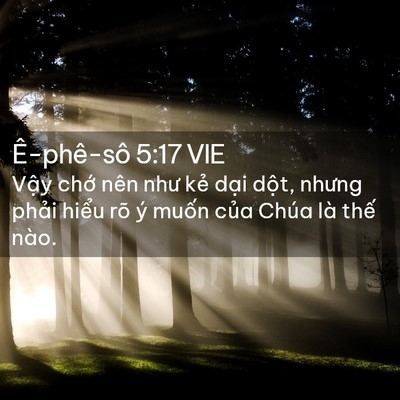 Picture 02 - Ê-phê-sô 5:17 VIE - Vậy chớ nên như kẻ dại dột, nhưng - Bible Verse Picture