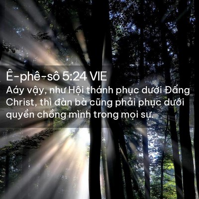 Picture 02 - Ê-phê-sô 5:24 VIE - Aáy vậy, như Hội thánh phục dưới - Bible Verse Picture