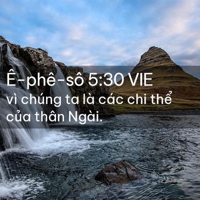 Picture 02 - Ê-phê-sô 5:30 VIE - vì chúng ta là các chi thể của thân - Bible Verse Picture