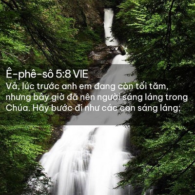 Picture 02 - Ê-phê-sô 5:8 VIE - Vả, lúc trước anh em đang còn tối tăm, - Bible Verse Picture