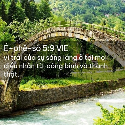 Picture 02 - Ê-phê-sô 5:9 VIE - vì trái của sự sáng láng ở tại mọi - Bible Verse Picture
