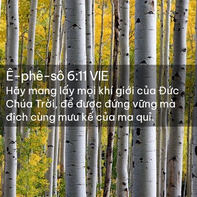 Picture 02 - Ê-phê-sô 6:11 VIE - Hãy mang lấy mọi khí giới của Đức - Bible Verse Picture