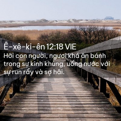 Picture 02 - Ê-xê-ki-ên 12:18 VIE - Hỡi con người, ngươi khá ăn bánh trong - Bible Verse Picture