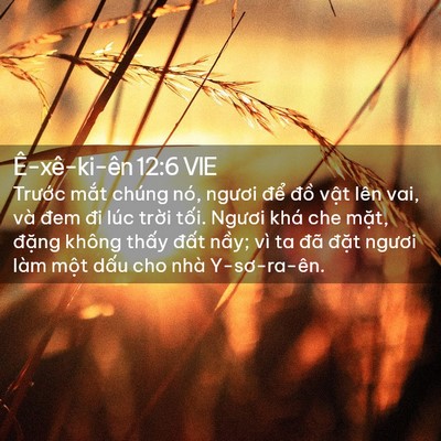 Picture 02 - Ê-xê-ki-ên 12:6 VIE - Trước mắt chúng nó, ngươi để đồ - Bible Verse Picture