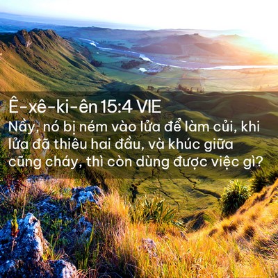 Picture 02 - Ê-xê-ki-ên 15:4 VIE - Nầy, nó bị ném vào lửa để làm củi, - Bible Verse Picture