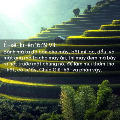 Picture 02 - Ê-xê-ki-ên 16:19 VIE - Bánh mà ta đã ban cho mầy, bột mì lọc, - Bible Verse Picture