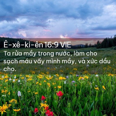Picture 02 - Ê-xê-ki-ên 16:9 VIE - Ta rửa mầy trong nước, làm cho sạch - Bible Verse Picture