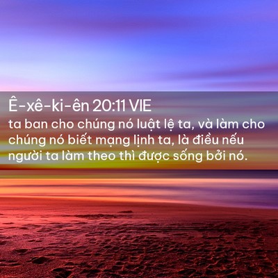 Picture 02 - Ê-xê-ki-ên 20:11 VIE - ta ban cho chúng nó luật lệ ta, và làm - Bible Verse Picture