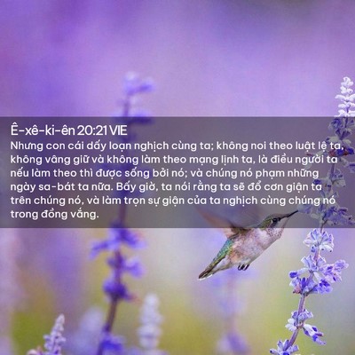 Picture 02 - Ê-xê-ki-ên 20:21 VIE - Nhưng con cái dấy loạn nghịch cùng ta; - Bible Verse Picture