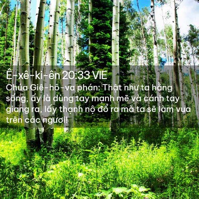 Picture 02 - Ê-xê-ki-ên 20:33 VIE - Chúa Giê-hô-va phán: Thật như ta hằng - Bible Verse Picture