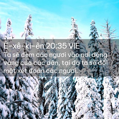 Picture 02 - Ê-xê-ki-ên 20:35 VIE - Ta sẽ đem các ngươi vào nơi đồng - Bible Verse Picture