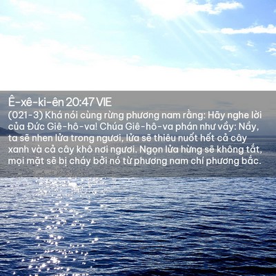 Picture 02 - Ê-xê-ki-ên 20:47 VIE - (021-3) Khá nói cùng rừng phương nam - Bible Verse Picture