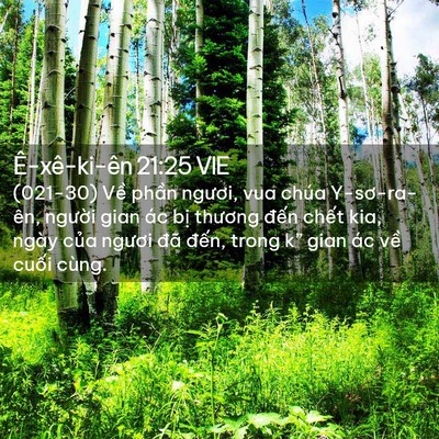 Picture 02 - Ê-xê-ki-ên 21:25 VIE - (021-30) Về phần ngươi, vua chúa - Bible Verse Picture