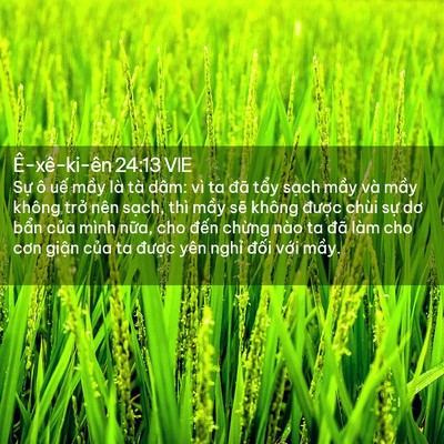 Picture 02 - Ê-xê-ki-ên 24:13 VIE - Sự ô uế mầy là tà dâm: vì ta đã - Bible Verse Picture