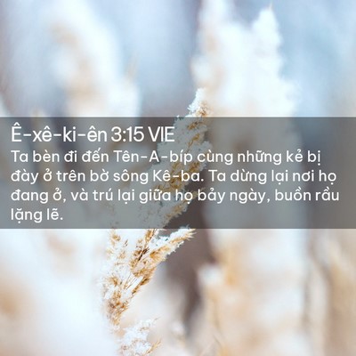 Picture 02 - Ê-xê-ki-ên 3:15 VIE - Ta bèn đi đến Tên-A-bíp cùng những kẻ - Bible Verse Picture