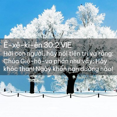 Picture 02 - Ê-xê-ki-ên 30:2 VIE - Hỡi con người, hãy nói tiên tri và - Bible Verse Picture