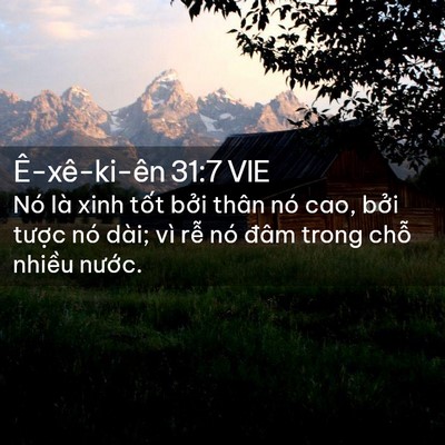 Picture 02 - Ê-xê-ki-ên 31:7 VIE - Nó là xinh tốt bởi thân nó cao, bởi - Bible Verse Picture