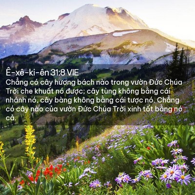 Picture 02 - Ê-xê-ki-ên 31:8 VIE - Chẳng có cây hương bách nào trong vườn - Bible Verse Picture