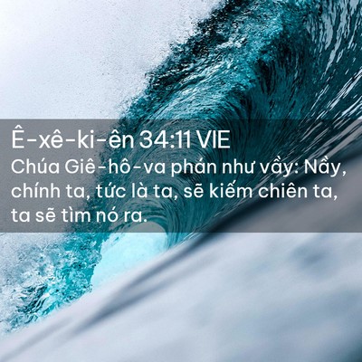 Picture 02 - Ê-xê-ki-ên 34:11 VIE - Chúa Giê-hô-va phán như vầy: Nầy, chính - Bible Verse Picture