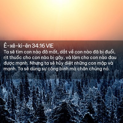 Picture 02 - Ê-xê-ki-ên 34:16 VIE - Ta sẽ tìm con nào đã mất, dắt về con - Bible Verse Picture