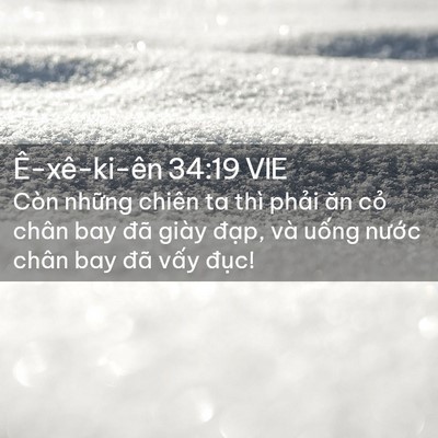 Picture 02 - Ê-xê-ki-ên 34:19 VIE - Còn những chiên ta thì phải ăn cỏ chân - Bible Verse Picture