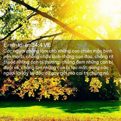 Picture 02 - Ê-xê-ki-ên 34:4 VIE - Các ngươi chẳng làm cho những con chiên - Bible Verse Picture