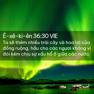 Picture 02 - Ê-xê-ki-ên 36:30 VIE - Ta sẽ thêm nhiều trái cây và hoa lợi - Bible Verse Picture