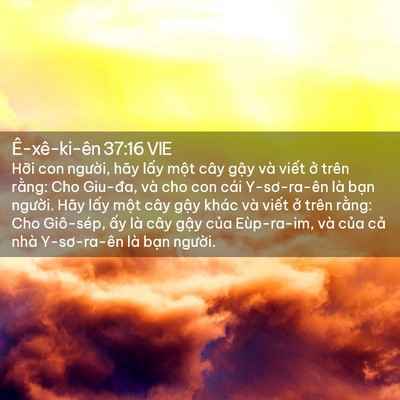 Picture 02 - Ê-xê-ki-ên 37:16 VIE - Hỡi con người, hãy lấy một cây gậy - Bible Verse Picture