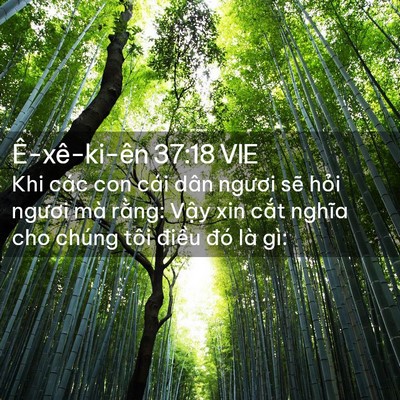 Picture 02 - Ê-xê-ki-ên 37:18 VIE - Khi các con cái dân ngươi sẽ hỏi ngươi - Bible Verse Picture