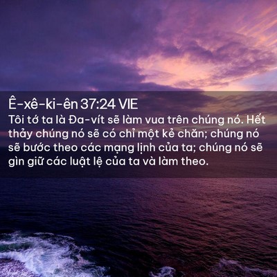 Picture 02 - Ê-xê-ki-ên 37:24 VIE - Tôi tớ ta là Đa-vít sẽ làm vua trên - Bible Verse Picture