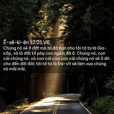 Picture 02 - Ê-xê-ki-ên 37:25 VIE - Chúng nó sẽ ở đất mà ta đã ban cho - Bible Verse Picture