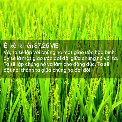 Picture 02 - Ê-xê-ki-ên 37:26 VIE - Vả, ta sẽ lập với chúng nó một giao - Bible Verse Picture