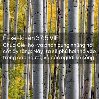 Picture 02 - Ê-xê-ki-ên 37:5 VIE - Chúa Giê-hô-va phán cùng những hài cốt - Bible Verse Picture