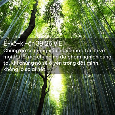 Picture 02 - Ê-xê-ki-ên 39:26 VIE - Chúng nó sẽ mang xấu hổ và mắc tội - Bible Verse Picture