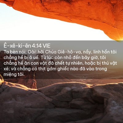Picture 02 - Ê-xê-ki-ên 4:14 VIE - Ta bèn nói: Oâi! hỡi Chúa Giê-hô-va, - Bible Verse Picture