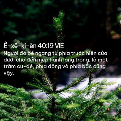 Picture 02 - Ê-xê-ki-ên 40:19 VIE - Người đo bề ngang từ phía trước hiên - Bible Verse Picture