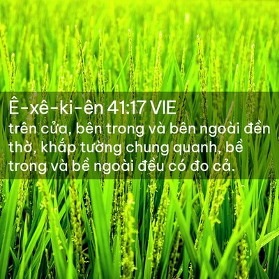 Picture 02 - Ê-xê-ki-ên 41:17 VIE - trên cửa, bên trong và bên ngoài đền - Bible Verse Picture