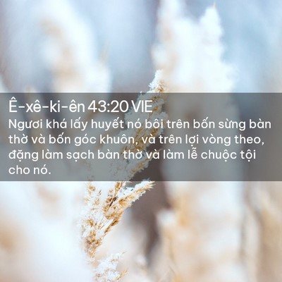 Picture 02 - Ê-xê-ki-ên 43:20 VIE - Ngươi khá lấy huyết nó bôi trên bốn - Bible Verse Picture