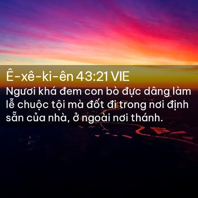 Picture 02 - Ê-xê-ki-ên 43:21 VIE - Ngươi khá đem con bò đực dâng làm lễ - Bible Verse Picture