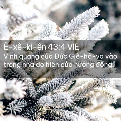 Picture 02 - Ê-xê-ki-ên 43:4 VIE - Vinh quang của Đức Giê-hô-va vào trong - Bible Verse Picture