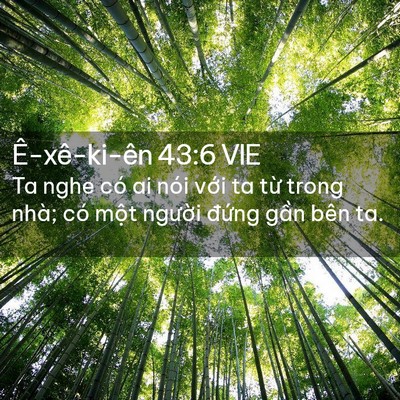 Picture 02 - Ê-xê-ki-ên 43:6 VIE - Ta nghe có ai nói với ta từ trong nhà; có - Bible Verse Picture