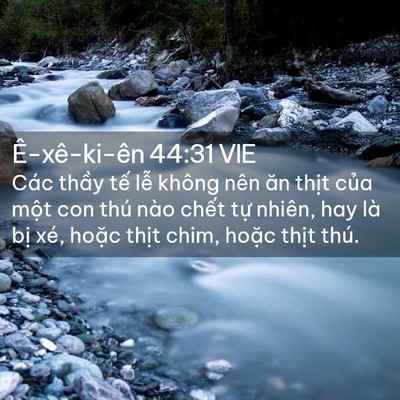 Picture 02 - Ê-xê-ki-ên 44:31 VIE - Các thầy tế lễ không nên ăn thịt - Bible Verse Picture