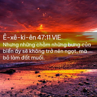 Picture 02 - Ê-xê-ki-ên 47:11 VIE - Nhưng những chằm những bưng của biển - Bible Verse Picture
