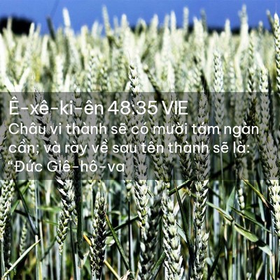 Picture 02 - Ê-xê-ki-ên 48:35 VIE - Châu vi thành sẽ có mười tám ngàn - Bible Verse Picture