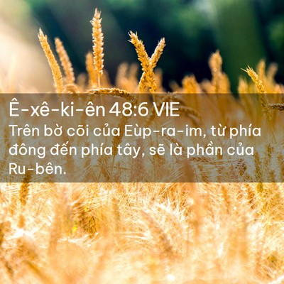 Picture 02 - Ê-xê-ki-ên 48:6 VIE - Trên bờ cõi của Eùp-ra-im, từ phía - Bible Verse Picture